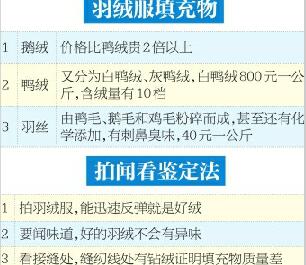 羽绒服价格从100元到2000元不等 违规添加羽丝已成公开秘密